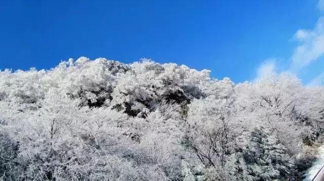 救援美丽小姑娘