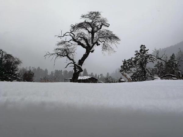 救援波塞冬