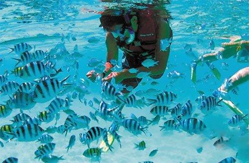 航海王