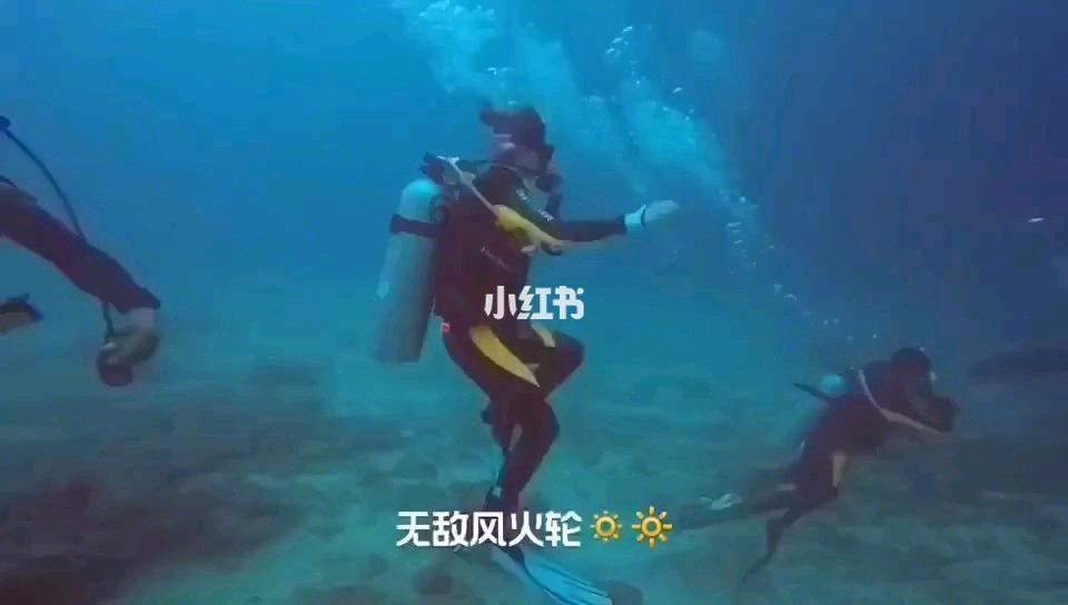 破碎的动物图形2