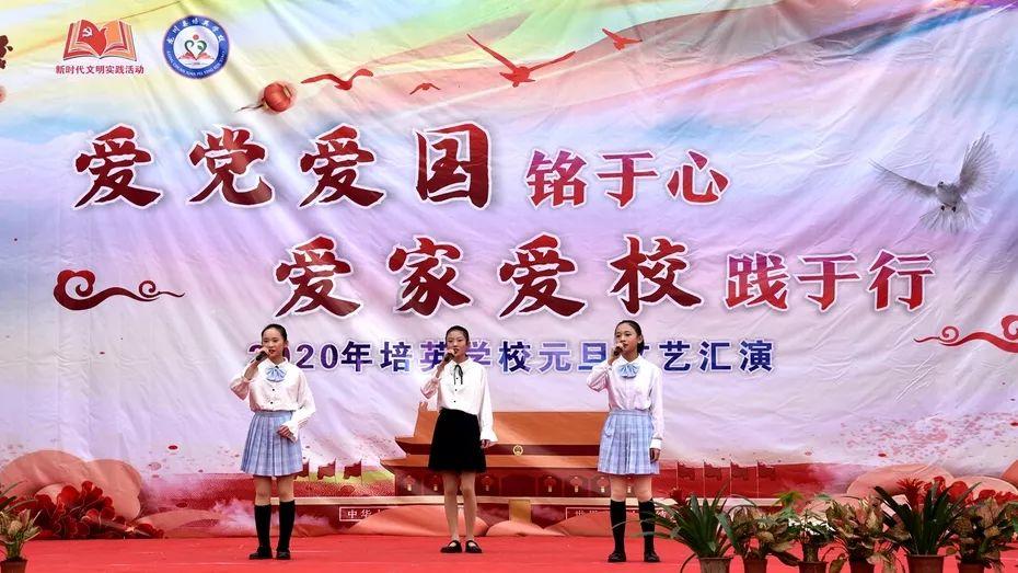 为什么都不用纯实木做衣柜