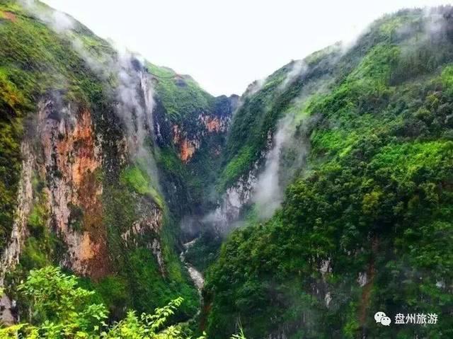 爷爷摔伤奶奶陪同就医 全程紧紧握着爷爷的手没松开过