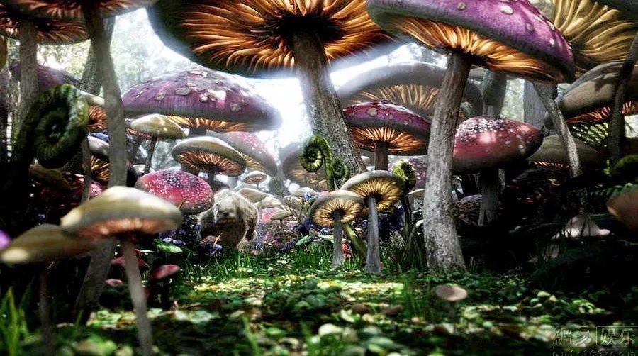寻找5个差异
